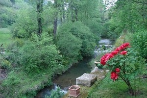 Le jardin Le jardin